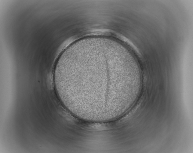 X0000110921362200907161510