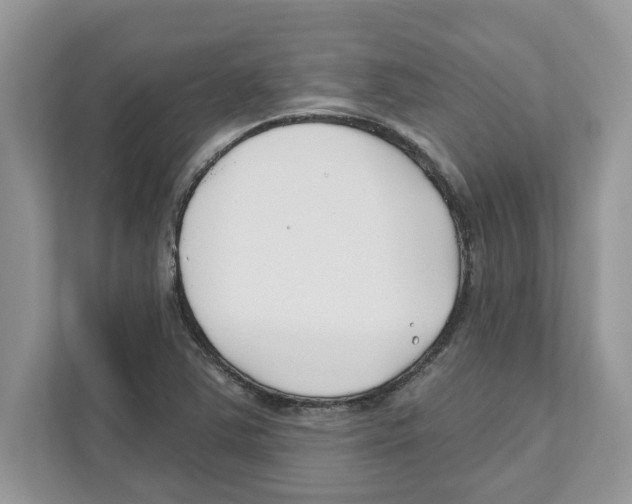 X0000110921363200907161510