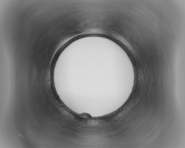 X0000110921364200907161510