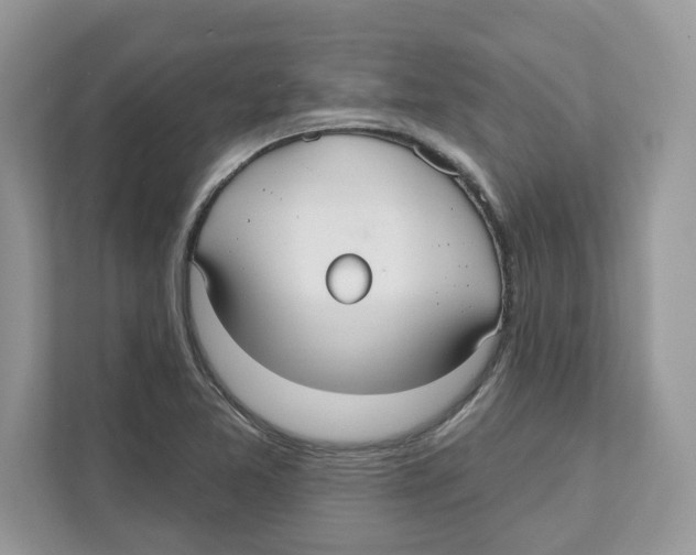 X0000110921365200907161510