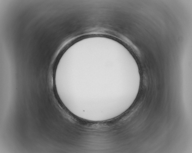 X0000110921368200907161510