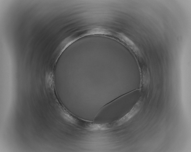 X0000110921369200907161510