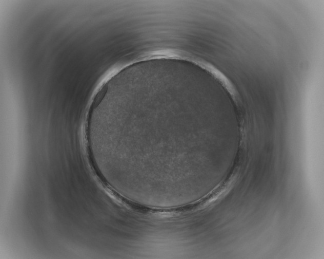 X0000110921373200907161510