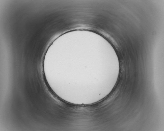 X0000110921375200907161510