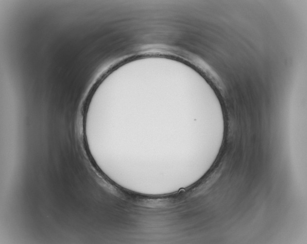 X0000110921376200907161510