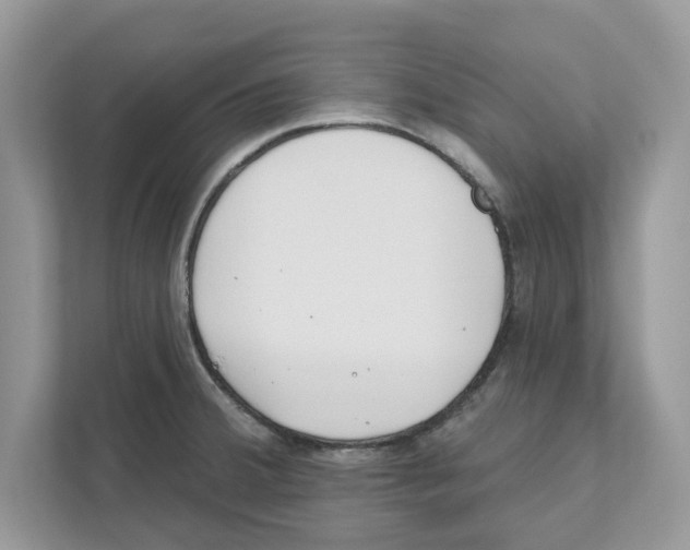 X0000110921380200907161510