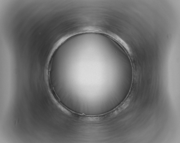 X0000110921381200907161510