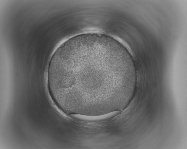 X0000110921383200907161510