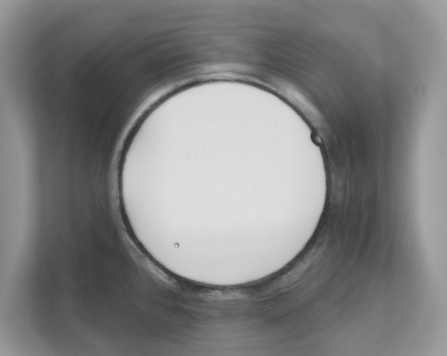 X0000110921384200907161510