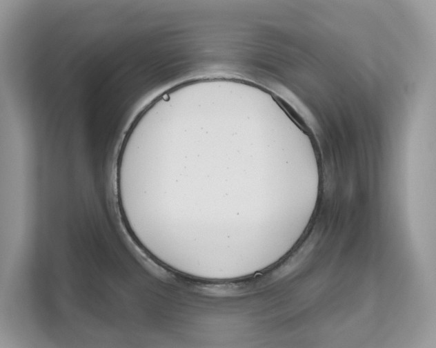 X0000110921388200907161510