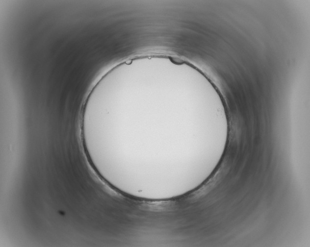 X0000110921390200907161510