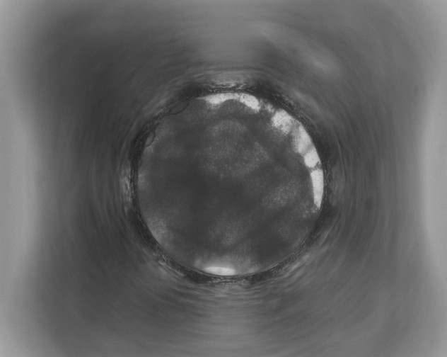 X0000110921394200907161509