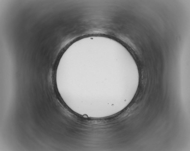 X0000110921404200907161509