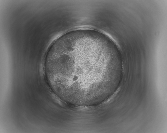 X0000110921405200907161509