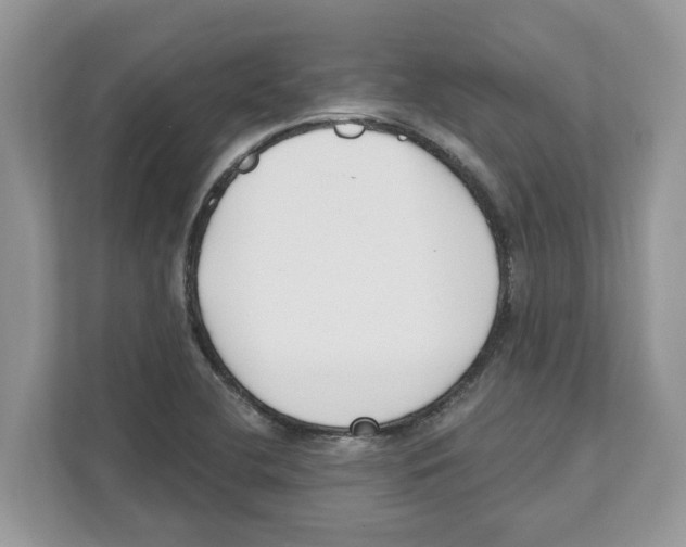X0000110921412200907161510