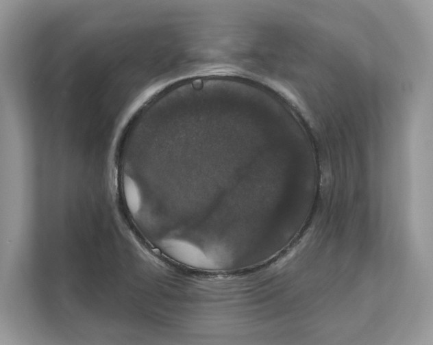 X0000110921414200907161510