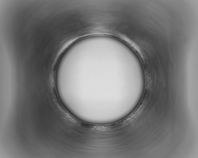 X0000110921415200907161510