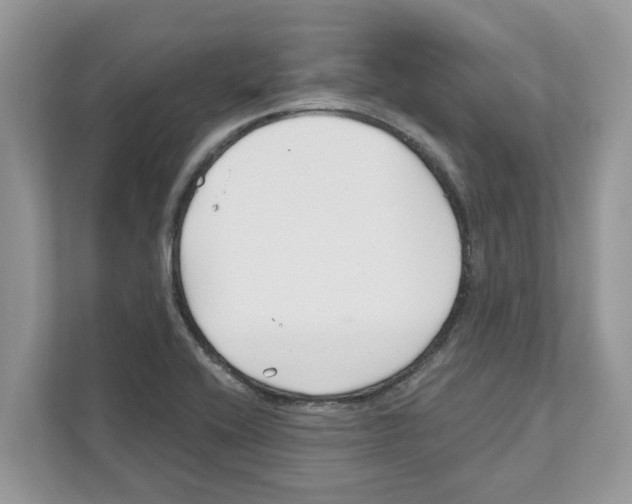 X0000110921416200907161510