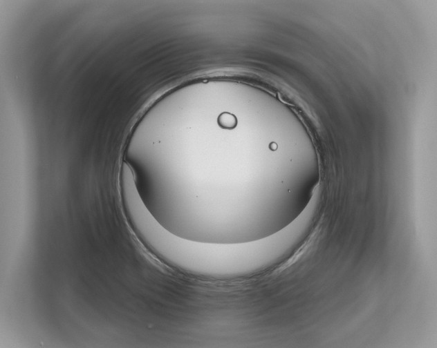 X0000110921417200907161510