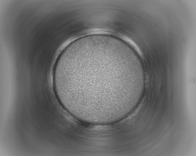 X0000110921419200907161510