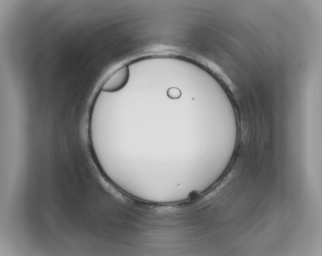 X0000110921421200907161510