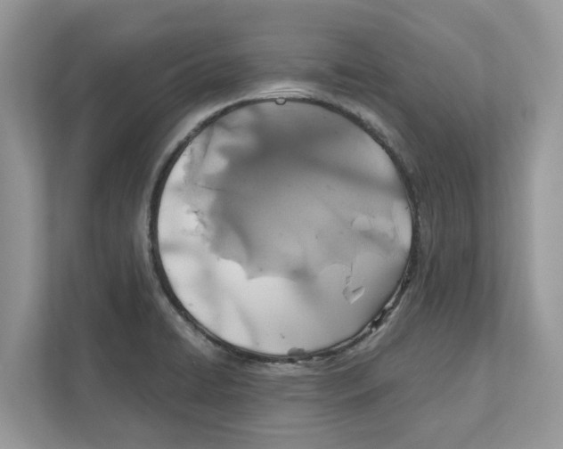 X0000110921422200907161510