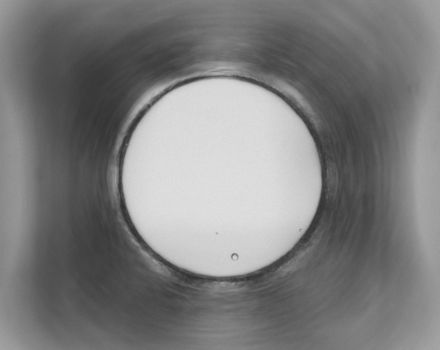 X0000110921424200907161510