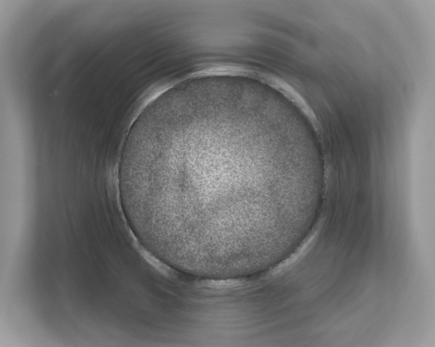 X0000110921425200907161510