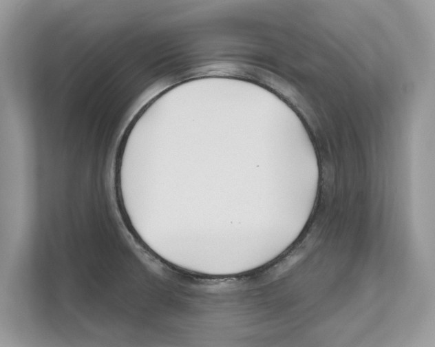 X0000110921426200907161510