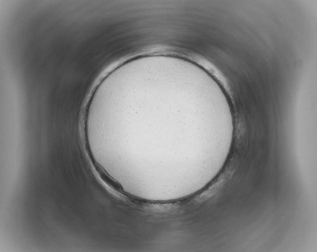 X0000110921429200907161510