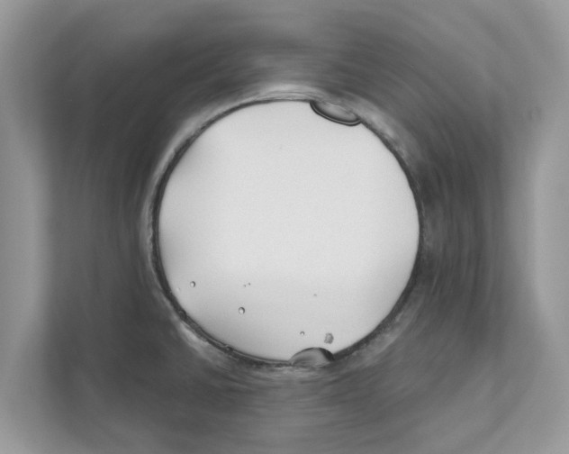 X0000110921430200907161510