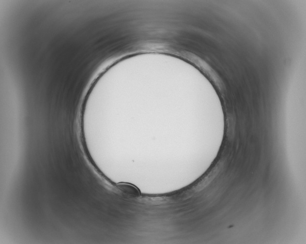 X0000110921432200907161510