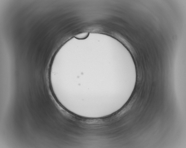 X0000110921434200907161510
