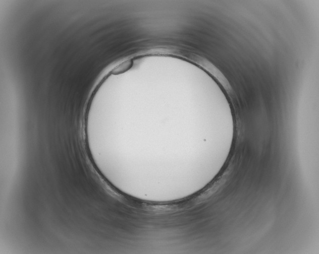 X0000110921436200907161510