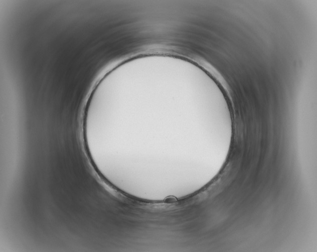 X0000110921437200907161510