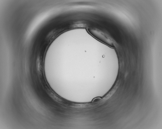 X0000110921438200907161510