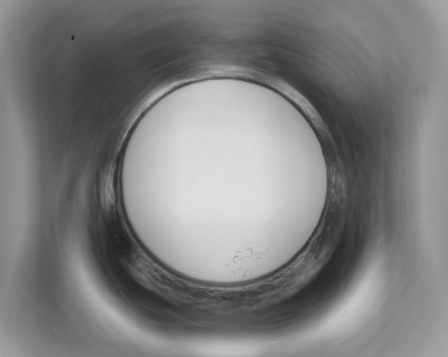 X0000110921439200907161510