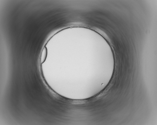 X0000110921440200907161510
