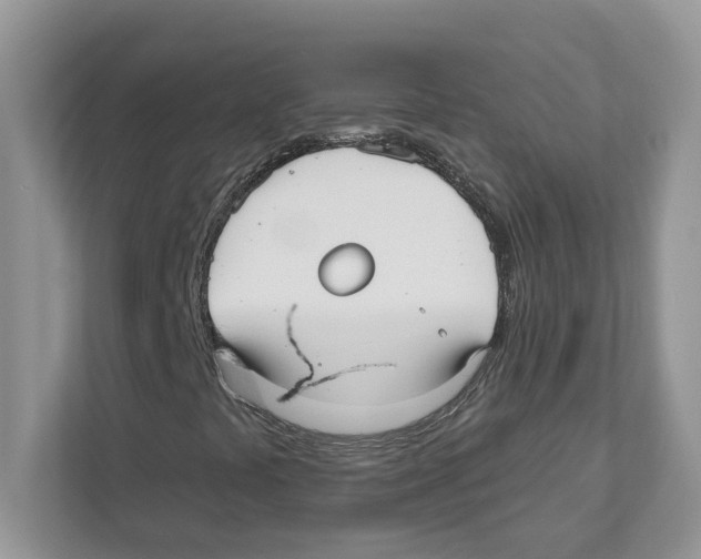X0000110921441200907161509