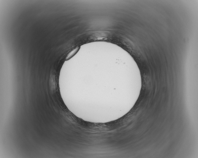X0000110921442200907161509