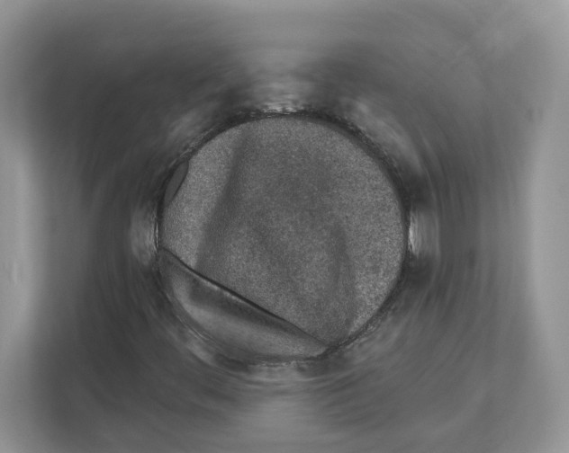 X0000110921444200907161509