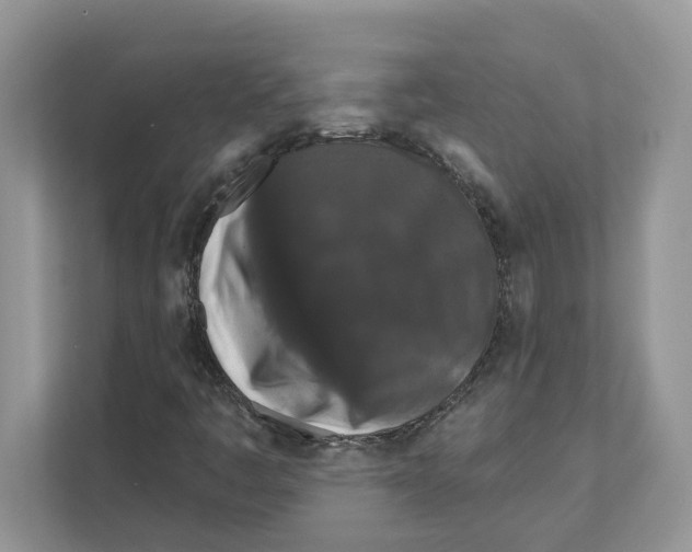 X0000110921445200907161509