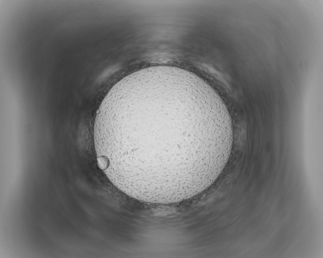 X0000110921446200907161509