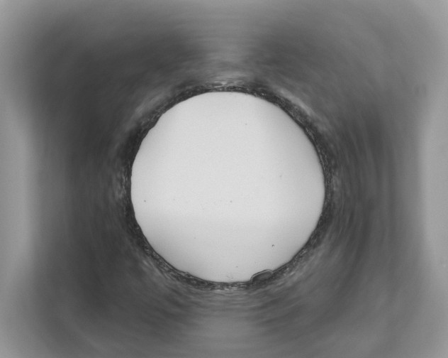 X0000110921447200907161509