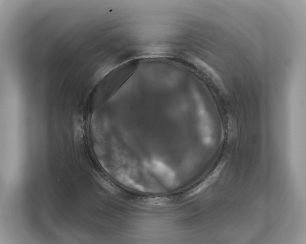 X0000110921449200907161509