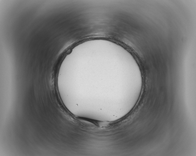 X0000110921450200907161509
