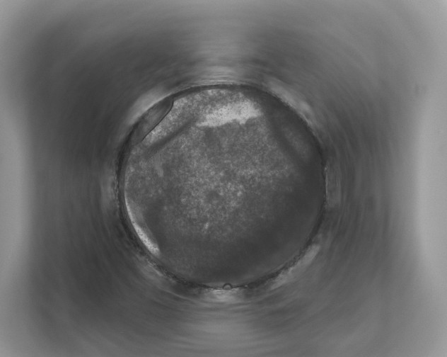 X0000110921453200907161509