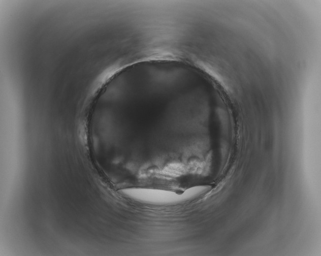 X0000110921455200907161509