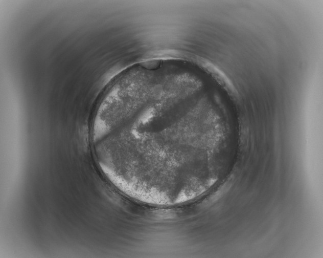 X0000110921457200907161509