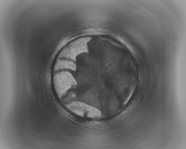 X0000110921459200907161509